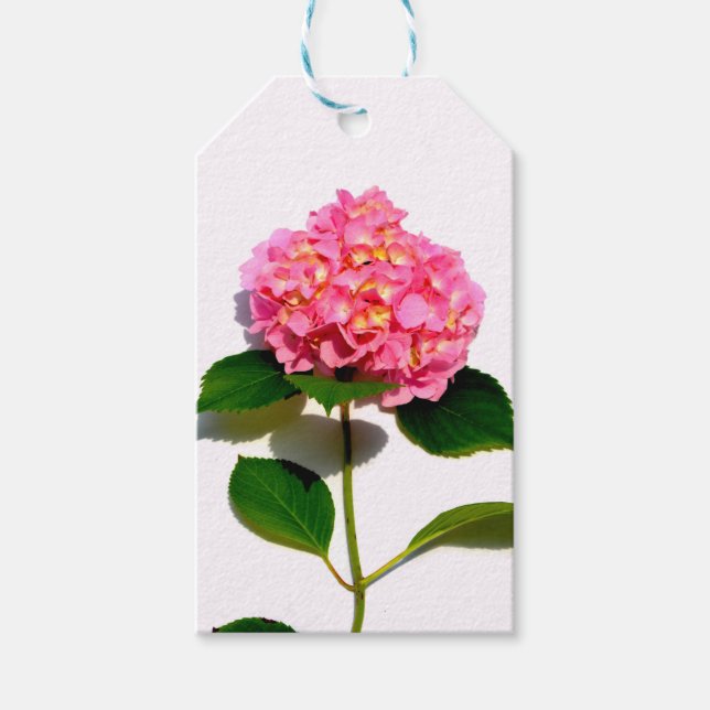 Étiquettes-cadeau Hydrangée rose rose fleur rose (Devant)