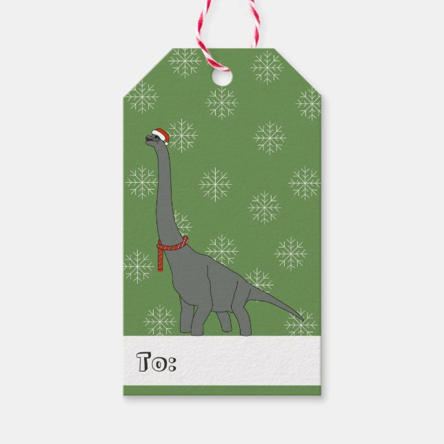 Étiquettes-cadeau illusima Dinosaure à long cou Flocons de neige de  (Devant)