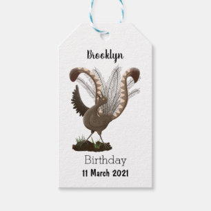 Étiquettes-cadeau Illustration de superbe et superbe lyrebird