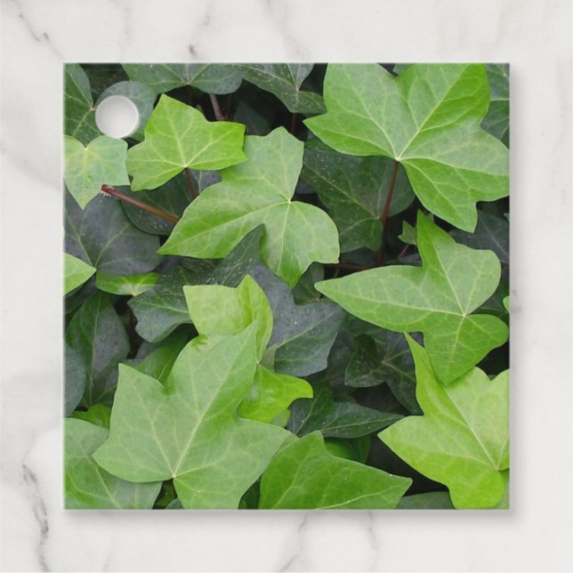 Étiquettes Cadeau Impression botanique verte Ivy (Devant)