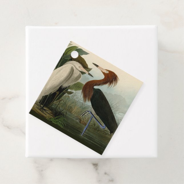 Étiquettes Cadeau Impression de Héron Pourpré d'Audubon : Art d'Oise (En situation)