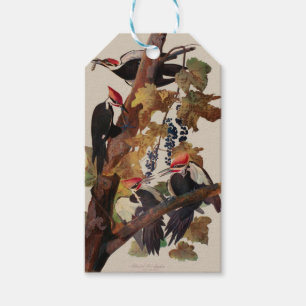 Étiquettes-cadeau Impression d'oiseau Pic à tête rouge de John James