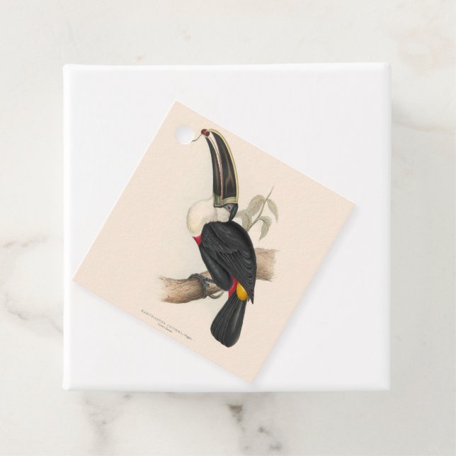 Étiquettes Cadeau Impression du Toucan de Cuvier : Oiseau Tropical V (En situation)
