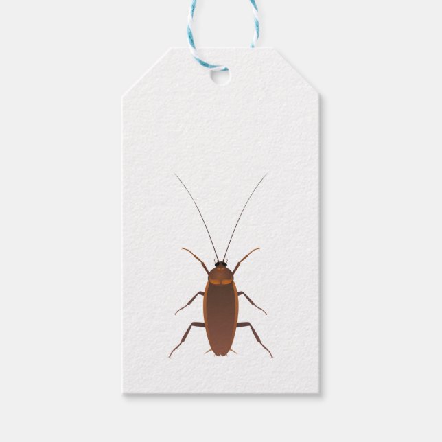 Étiquettes-cadeau Insecte Cockroach (Devant)