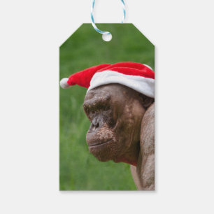 Étiquettes-cadeau Jambo dans un Casquette de Noël