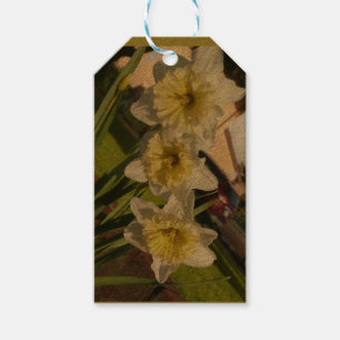 Étiquettes-cadeau Jeu de jonquilles ensoleillé