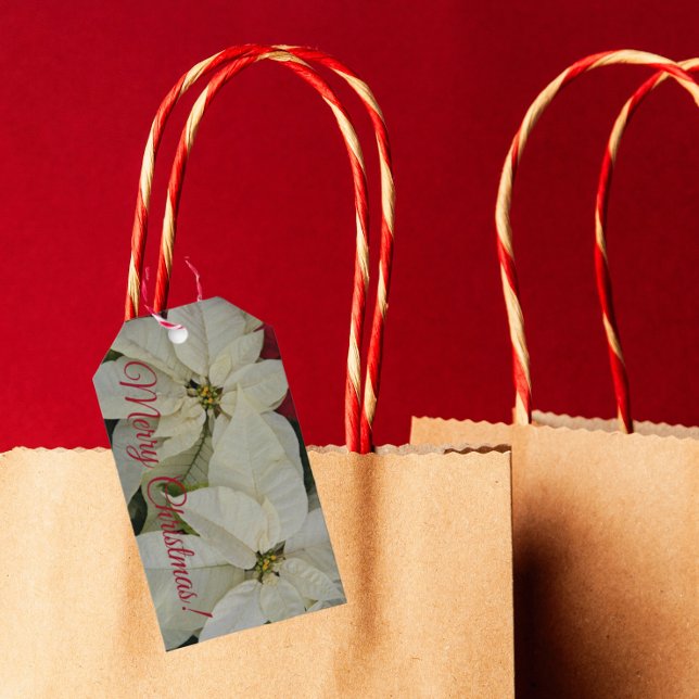 Étiquettes-cadeau Joli Blanc Poinsettias vacances (In Situ)
