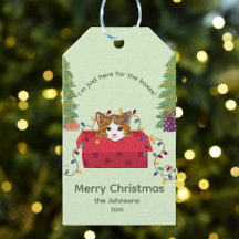 Joli Chat dans une Boîte Ici pour les Boîtes Noël