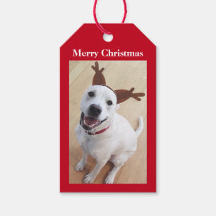 Étiquettes-cadeau Joli sourire blanc renne Chien Chien Chien Chien C