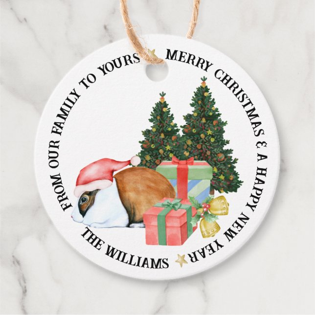 Étiquettes Cadeau Jolies Illustrations d'Animaux Cadeau de Noël Joye (Devant)