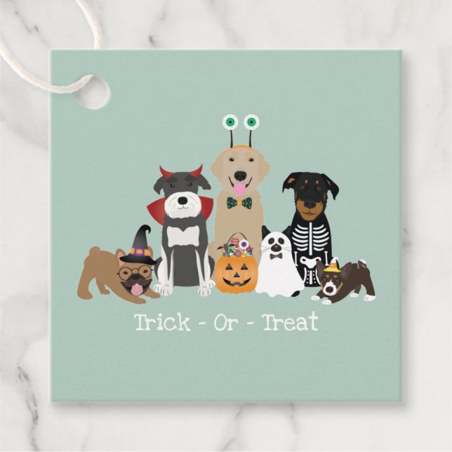 Étiquettes Cadeau Joyeux Costumes Éffrayants Pour Animaux De Compagn (Devant)