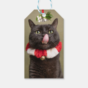Étiquettes-cadeau Joyeux Noël Pour N'Importe Qui Chat Sous Mistletoe