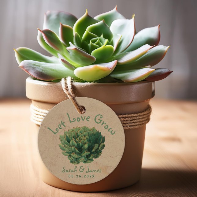 Étiquettes Cadeau Laisser l'amour grandir Succulent mariage vert Fav (Créateur téléchargé)