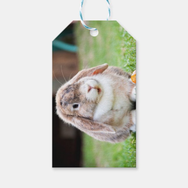 Étiquettes-cadeau lapin à oreilles de lop mignon (Devant)