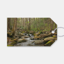 Le ruisseau Le Conte dans les montagnes Great Smok