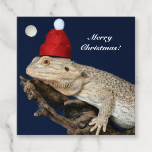 Étiquettes Cadeau Lézard Dragon Porté Personnalisé - Santa Hat