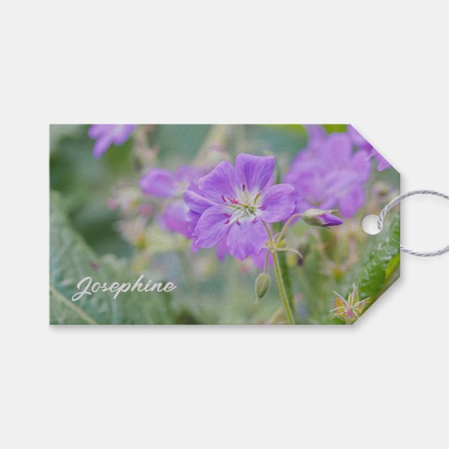 Étiquettes-cadeau Lilac Fleur sauvage Photo Geranium Fleur botanique (Devant (Horizontal))