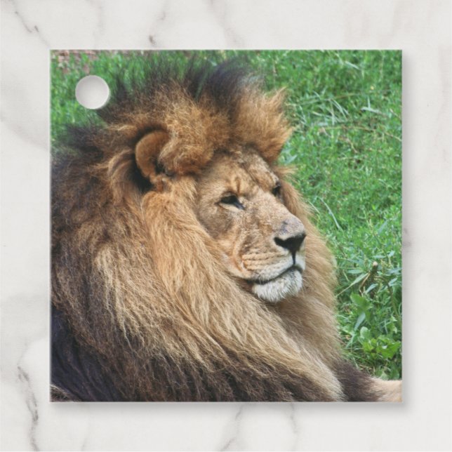 Étiquettes Cadeau Lion 001 (Devant)