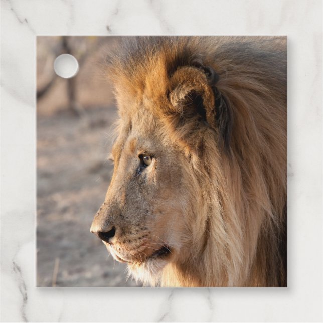 Étiquettes Cadeau Lion Portrait (Devant)