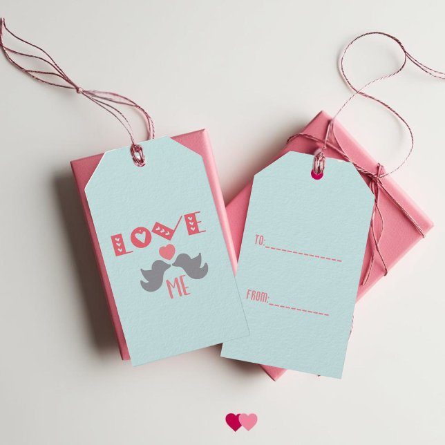 Étiquettes-cadeau Love Me Turquoise Saint Valentin (Cute Birds Love Me Turquoise Valentine's Day Gift Tags)