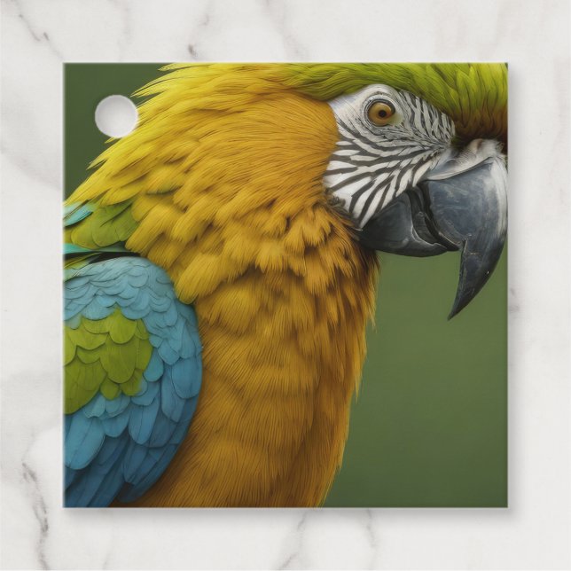 Étiquettes Cadeau Macaw (Devant)
