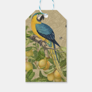 Étiquettes-cadeau Macaw Blue Jaune Tropical Jungle Antique