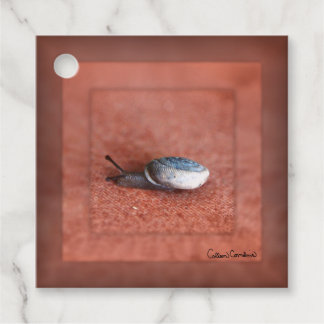 Étiquettes Cadeau Macro Photographie de Snail sur Terracotta