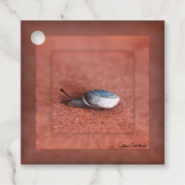 Étiquettes Cadeau Macro Photographie de Snail sur Terracotta (Devant)