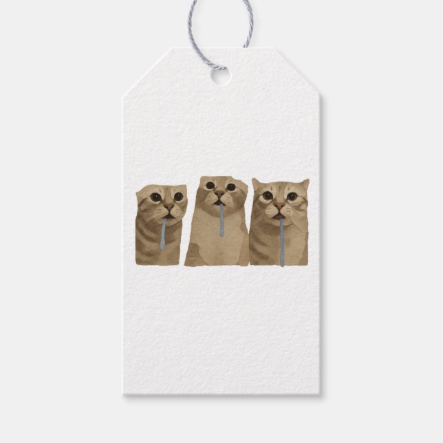Étiquettes-cadeau Mème des triples chats idiots baveux (Devant)