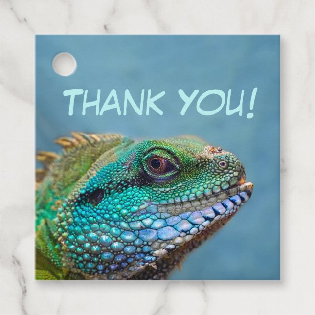 Étiquettes Cadeau Merci coloré d'Iguana (Devant)