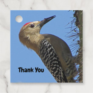 Étiquettes Cadeau Merci Gila Woodpecker Photo Oiseau Appréciation