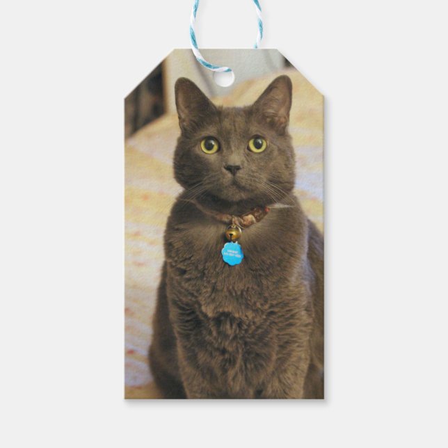 Étiquettes-cadeau Mims (Devant)