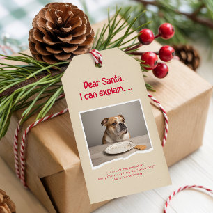 Étiquettes-cadeau Moderne Noël drôle chien photo mignon cadeau