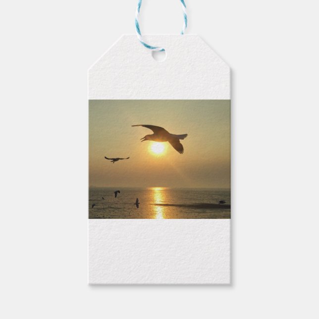 Étiquettes-cadeau Mouette au coucher du soleil (Devant)