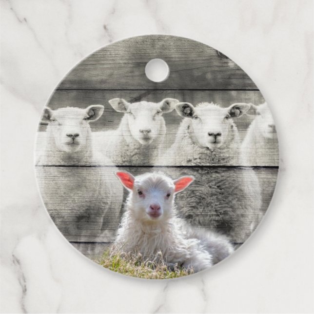Étiquettes Cadeau Mouton d'agneau de bébé (Devant)
