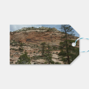 Étiquettes-cadeau Murs de roche usés dans le parc national de Zion