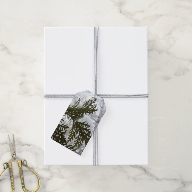 Étiquettes-cadeau Neige sur les branches À feuillage persistant (Avec de la ficelle)