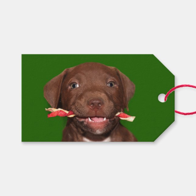 Étiquettes-cadeau Noël au chiot mignon (Devant (Horizontal))