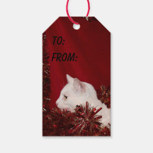 Étiquettes-cadeau Noël blanc de chat de minou