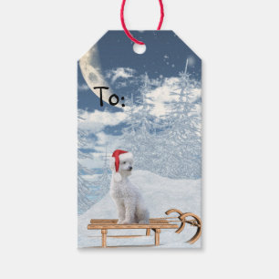 Étiquettes-cadeau Noël de la canicule blanche
