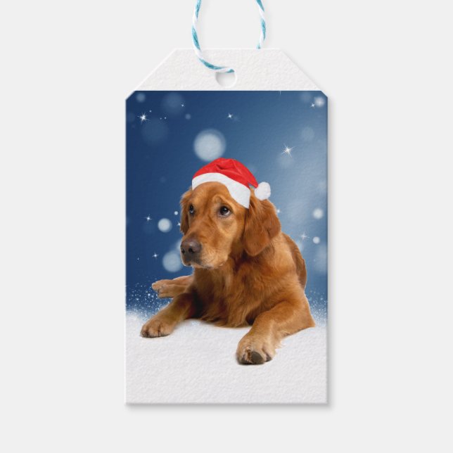 Étiquettes-cadeau Noël Mignonne Golden Retriever Chien Santa Hat Nei (Devant)