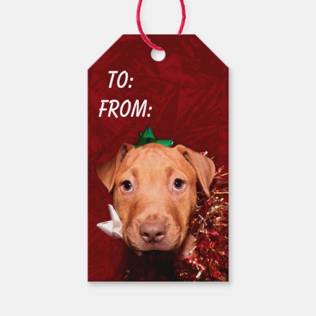 Étiquettes-cadeau Noël utile au chiot (Devant)