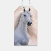 Noël Vacances Joli Cheval et Neige