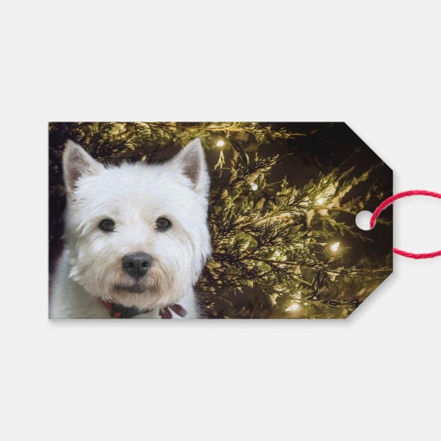 Étiquettes-cadeau Noël Westie (Devant (Horizontal))