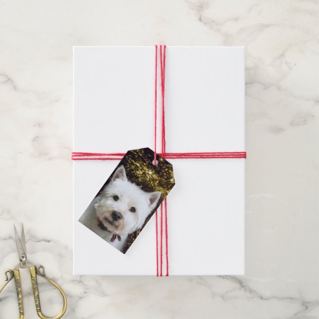Étiquettes-cadeau Noël Westie (Avec de la ficelle)