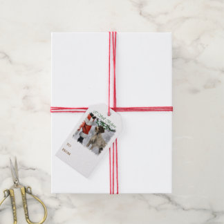 Étiquettes-cadeau Noeud À poils durs allemand