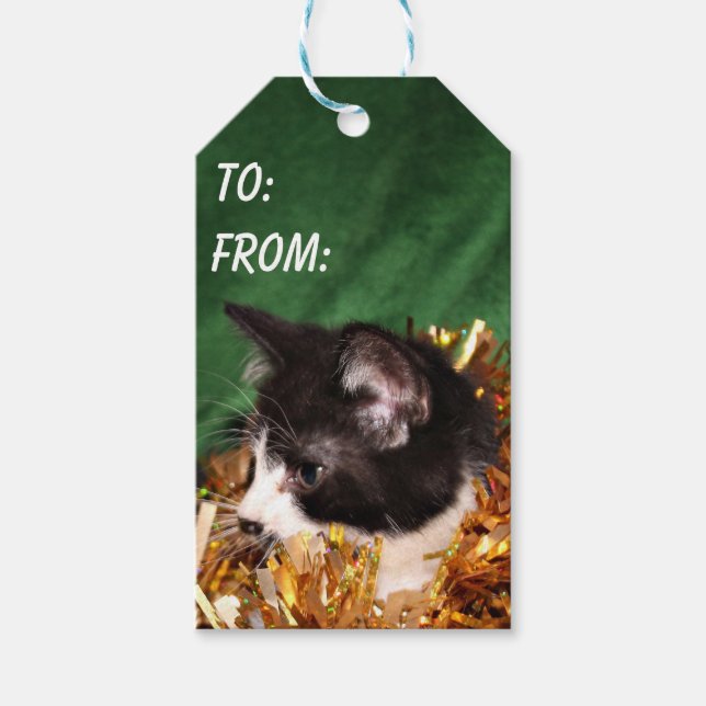 Étiquettes-cadeau Noir et blanc tuxedo kitty Noël (Devant)