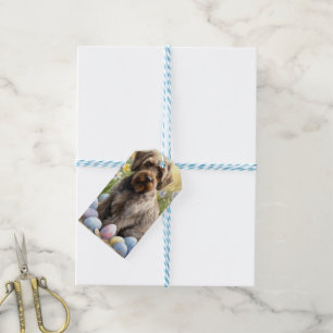 Étiquettes-cadeau Œufs de Pâques Griffon à poil dur Vacances