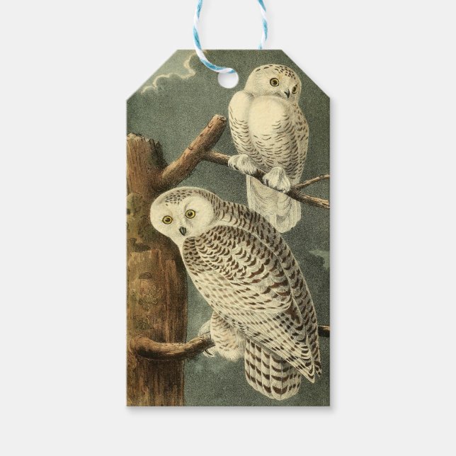 Étiquettes-cadeau OEuvre d'OEuf Audubon (Devant)