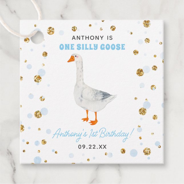 Étiquettes Cadeau One Silly Goose Boys 1ère fête d'anniversaire (Devant)